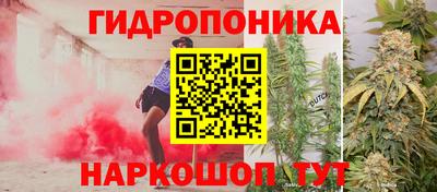 ECSTASY Новокубанск