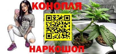 дистиллят марихуана Новозыбков