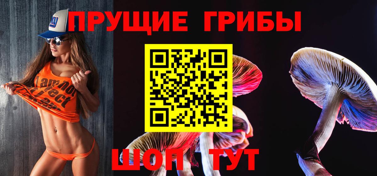 Тимашёвск  Псилоцибиновые грибы прущие грибы  Вход с VPN 