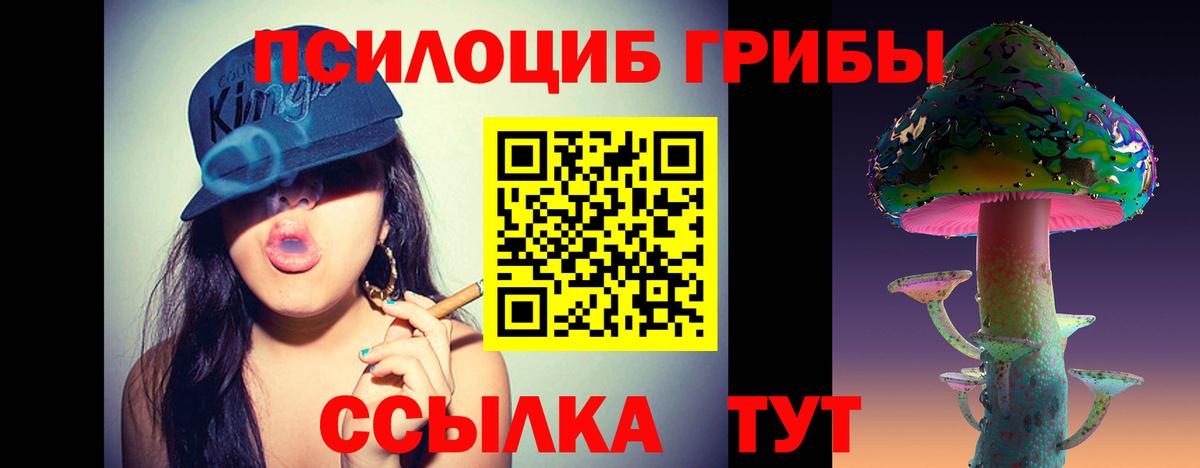 Галлюциногенные грибы прущие грибы Тимашёвск